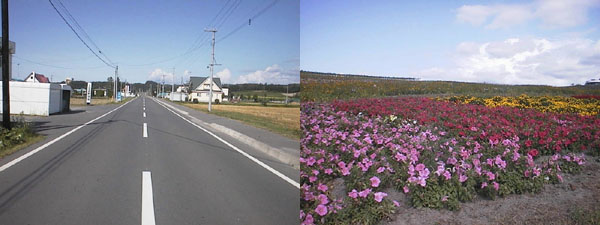 上富良野